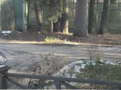 Maria z domu Olszańska