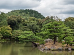 Odizolowana grupa miała DNA zupełnie inne od pozostałych. Odkrycie z Japonii podważa historię ludzkich migracji