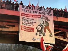 Bosak pokazał baner z Marszu Niepodległości. "Kotki i psiecka nie zastąpią ci dziecka"