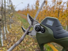 Wczesny start cięcia zimowego? Nie ma się czego bać i zmuszają nas do tego realia…