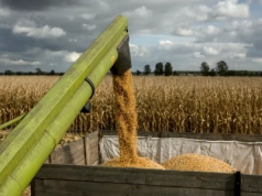 Wartość produkcji rolnej w Polsce mocno w górę. A Europa na minusie