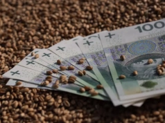 Kiedy można uruchomić skup interwencyjny zbóż? Rolnicy chcą wzrostu ceny referencyjnej