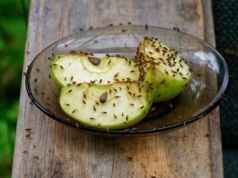 Wystarczy słoik i kawałek papieru. Muszki owocówki już nie wyjdą