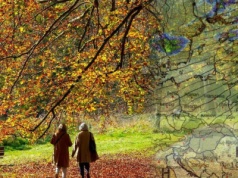 Możemy liczyć na złotą polską jesień? Najnowsza prognoza napawa optymizmem