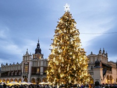 Polska choinka wyróżniona. To tu znajdziesz najpiękniejsze drzewka bożonarodzeniowe