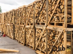 Te dwa gatunki drewna uważane są za najlepsze do kominka. W porównaniu wygrywa zdecydowanie ten pierwszy