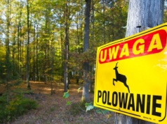 Kolejny śmiertelny postrzał na polowaniu. Ministra klimatu zareagowała