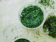 Wszyscy wkładają koperek do pudełka po lodach. To błąd. Inna metoda jest o niebo lepsza