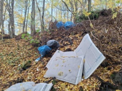 Śmiecił w lesie. Zapłacił mandat i musiał posprzątać