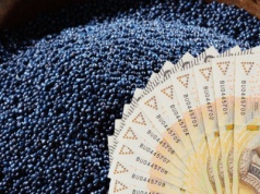 Notowania rzepaku — czy opłaca się sprzedawać teraz?