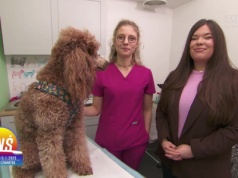 Karolina Lizer - rozśpiewana lekarka weterynarii cz. 1