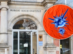 Dzikiego wirusa wykryto tuż za polską granicą. Europa miała być od niego wolna