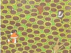 Bardzo trudny test na spostrzegawczość. Masz 20 sekund, aby znaleźć motyla