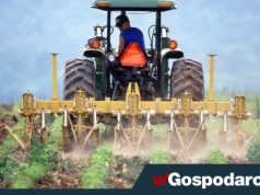 Dla kogo 300 tys. na start?