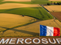 Macron stawia weto wobec Mercosur. Francja ostrzega: „W tej formie umowa zaszkodzi europejskiemu rolnictwu”