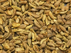 Babcie dodawały go do herbaty. Pomaga, gdy dopada nas przeziębienie