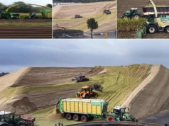 50 tysięcy ton kukurydzy w jednym miejscu. Tak wygląda silos XXL