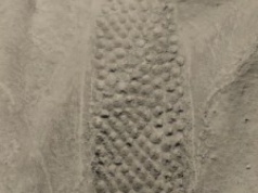 Tajemnicza konstrukcja Inków od prawie 100 lat pozostaje zagadką. Archeolodzy znaleźli rozwiązanie?