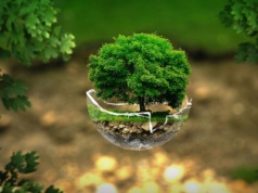 Opłata OZE wzrośnie. Ile więcej zapłacimy za energię elektryczną?