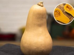 Wszystko, co musisz wiedzieć o dyni piżmowej. Drzemie w niej ogromny potencjał