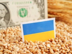 Ukraińcom nie podoba się nowa umowa handlowa z UE. Na samej pszenicy stracili w rok 900 mln euro