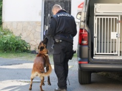 Brutalny atak na 70-letnią Polkę w Niemczech. Policja publikuje rysopis sprawcy