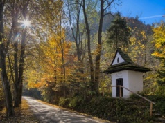 Malowniczy szlak w Pieninach. Idealny na krótkie dni jesienią