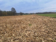 Rolnicy chcą przejrzystości w rozdysponowywaniu ziemi KOWR. Obecny system nie wystarcza