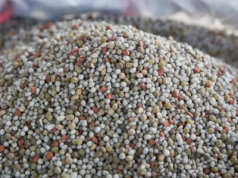 Jak rolnicy mogą poprawić efektywność wykorzystania nawozów?