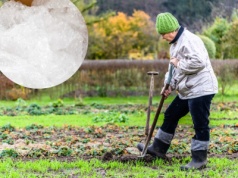 Zamiast wyrzucać folię bąbelkową, wynieś ją do ogrodu. Efekt cię zaskoczy