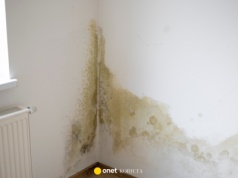 To nie grzyb ani wybrzuszenie. Ciemna plama na ścianie jednak oznacza problemy