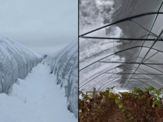 Kiedy przyjdzie zima? Możliwe, że już w przyszłym tygodniu!