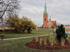 Odnowiono teren zieleńca przy ulicy Jordana w Legnicy. Posadzono ponad 500 roślin