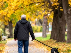 Pies uratował życie opiekunowi. Poruszająca historia z Wrocławia