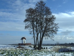 Podkarpacie – kraina kapliczek i krzyży przydrożnych? Fenomen kulturowy, który znika po cichu