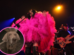 Urodziny w cieniu żałoby. A w perspektywie samotne święta. Piosenkarka przeżywa trudny czas