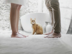 Rekord rozwodów w Wadowicach. Lokalna fala wpisuje się w ogólnopolski kryzys małżeństw