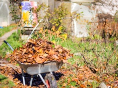 Jesienne prace na działkach w pełni. Policja ostrzega: to także sezon dla złodziei