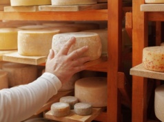 Polski ser mistrzem świata. Teraz firma przeżywa prawdziwe oblężenie