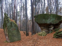 To urokliwe miejsce jest ostoją przyrody. A Polacy jakby o nim zapomnieli
