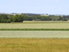 Dzierżawa ziemi od państwa – jak to zrobić krok po kroku?