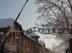 Skandaliczna aukcja dokumentów obozowych. Nawrocki apeluje do rządu