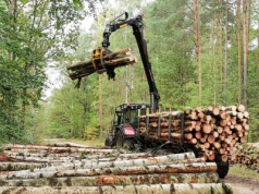 NIK nie pozostawia suchej nitki na Lasach Państwowych. Jest reakcja
