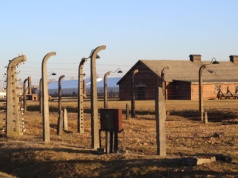 Muzeum Auschwitz: apelujemy o przekazywanie nam wszelkich pamiątek poobozowych