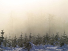 Zimowe widoki jak z bajki? Wybierz się na Wielką Sowę. Szlaki dla początkujących i zaawansowanych