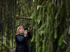 Szczeliny Łodzi | Małgorzata Godlewska, „Drzewostany i mapa drzew”