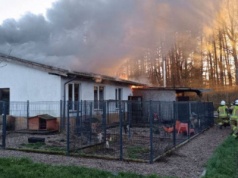 Pożar w schronisku dla zwierząt. Placówka ruszyła ze zbiórką. Pracownicy apelują do Polaków