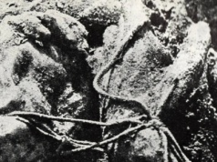 Niemcy chcieli sprzedawać też artefakty z Katynia! Zażądano ich wycofania i wysłania do Polski