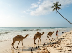 All inclusive w rajskiej Kenii 🌴🦒 7 dni w 4* hotelu przy plaży za 4354 PLN