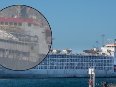 Statek z tysiącami krów utknął na otwartym morzu. Warunki 